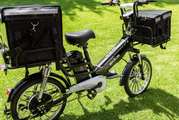 Alice E-Cargo Electric Delivery Bike